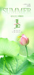 夏至傳統(tǒng)節(jié)氣二十四節(jié)氣宣傳海報