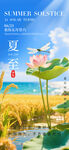 夏至傳統(tǒng)節(jié)氣荷花意境海報
