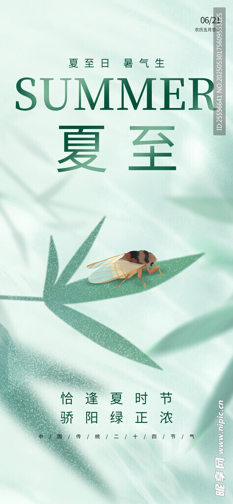 夏至傳統節氣祝福海報