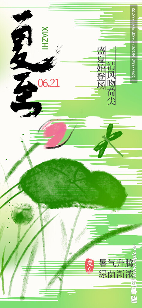 夏至二十四節氣荷花紋理海報