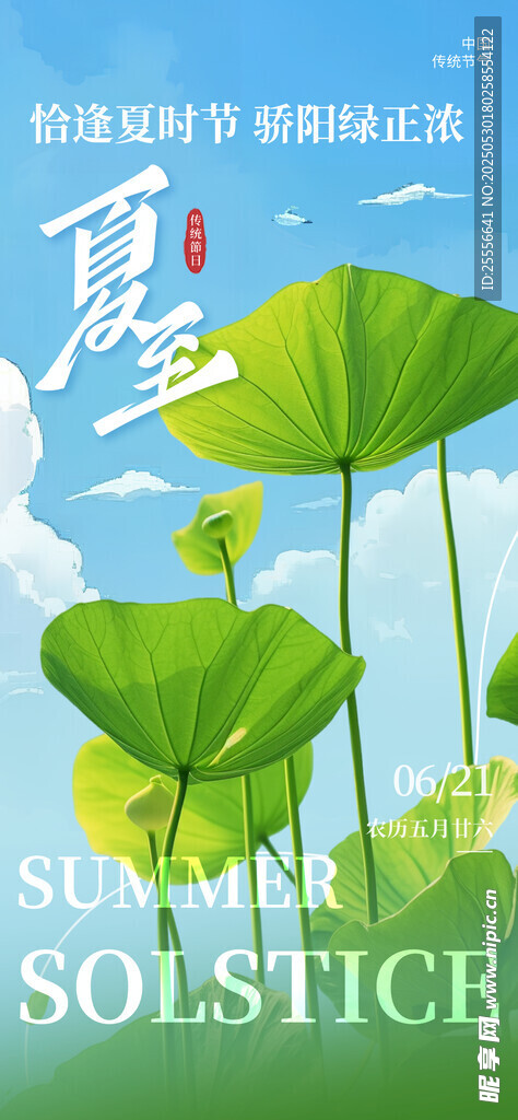夏至節氣荷葉祝福海報