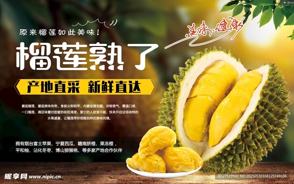 榴蓮熟了 果肉飽滿誘人