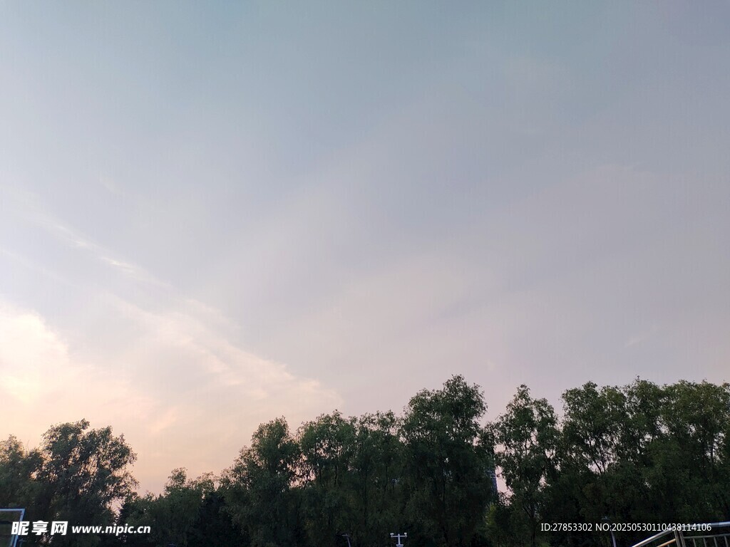黃昏下的樹林與天空