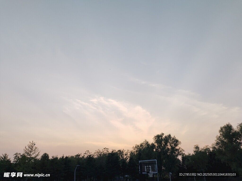 黃昏時分的樹林天際線