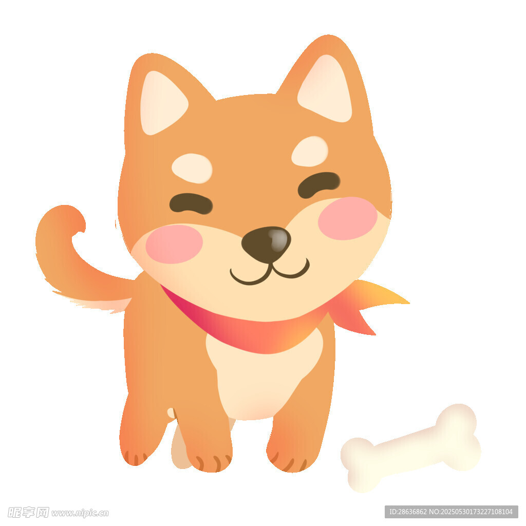 可愛柴犬與骨頭