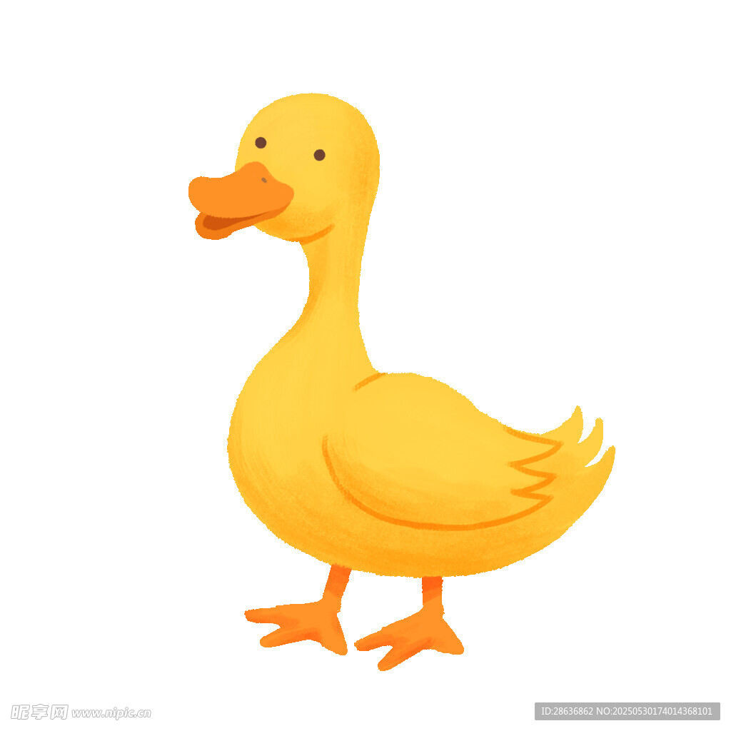 可愛小黃鴨插畫