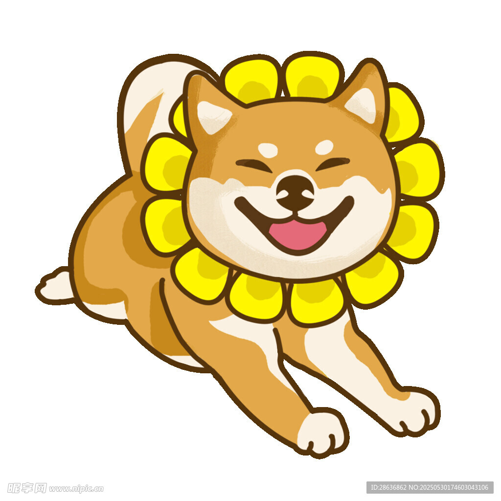 戴花環奔跑的可愛柴犬