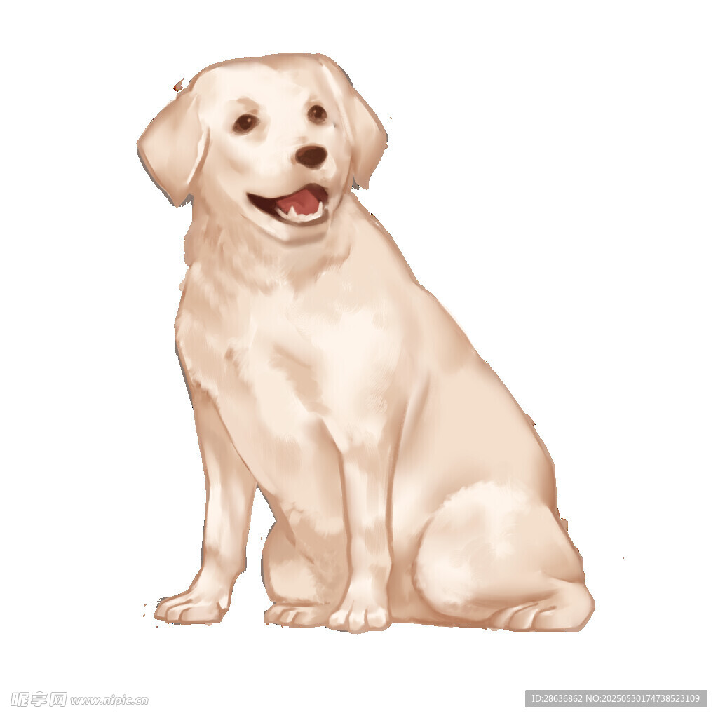 坐著的可愛(ài)拉布拉多犬