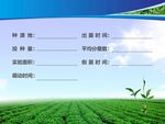 半夏種植記錄