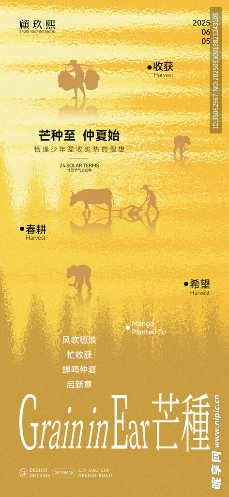 芒種抽象創意節氣海報