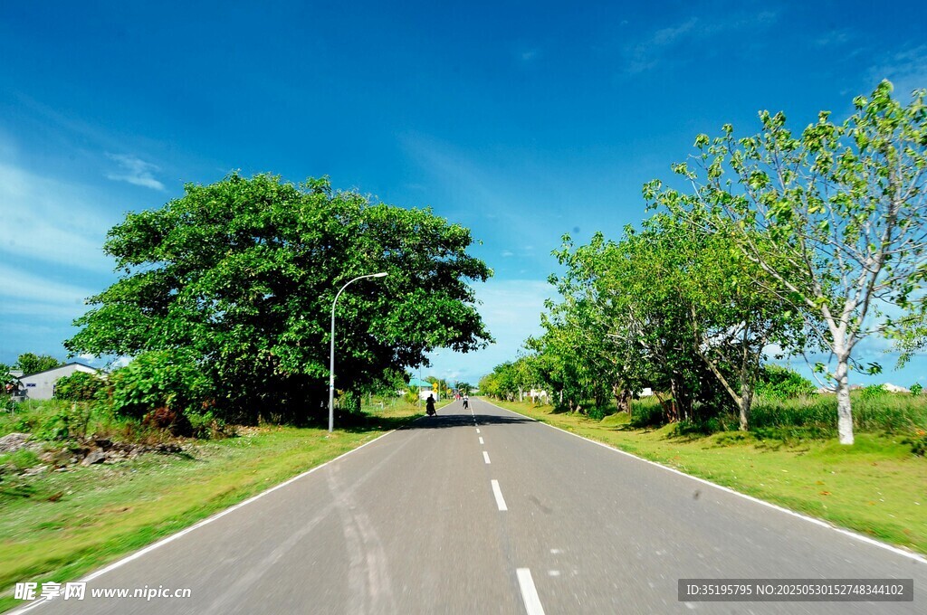 鄉間公路綠樹相伴美景