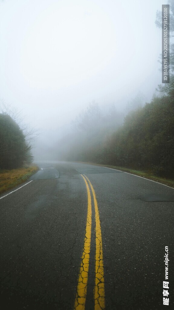霧中蜿蜒公路