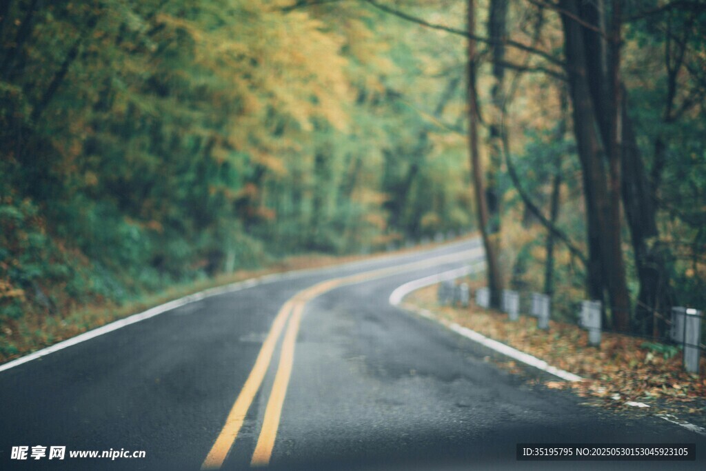 秋日林間蜿蜒公路