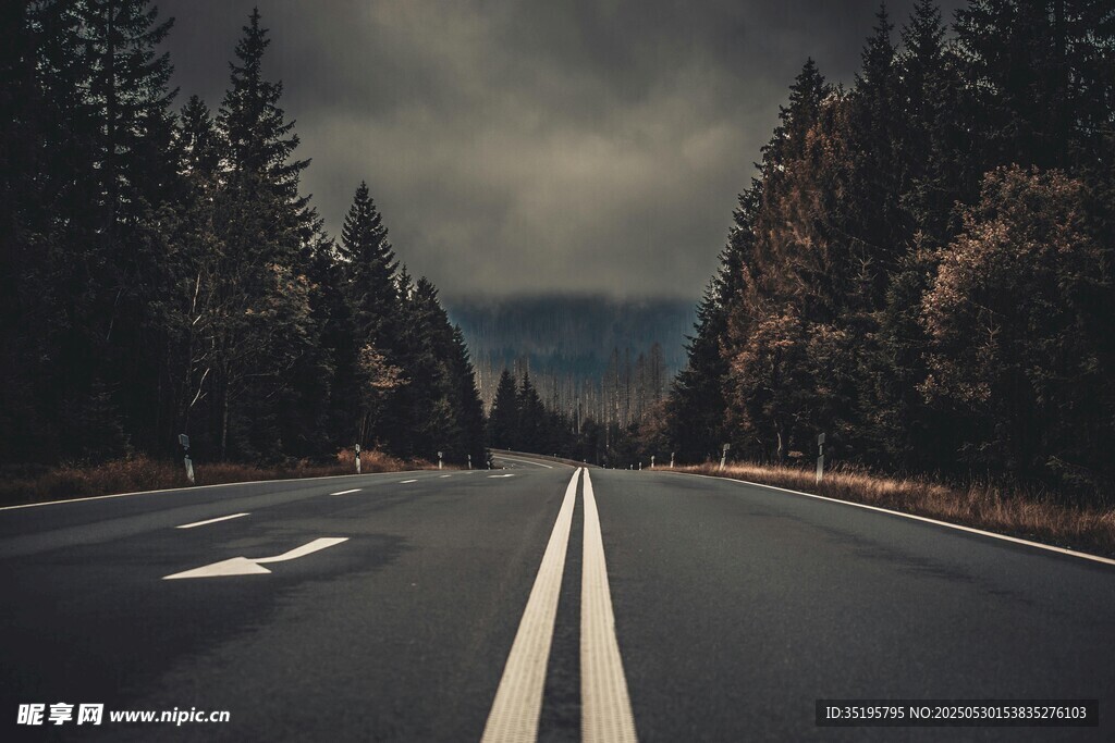 公路伸向遠方的森林美景