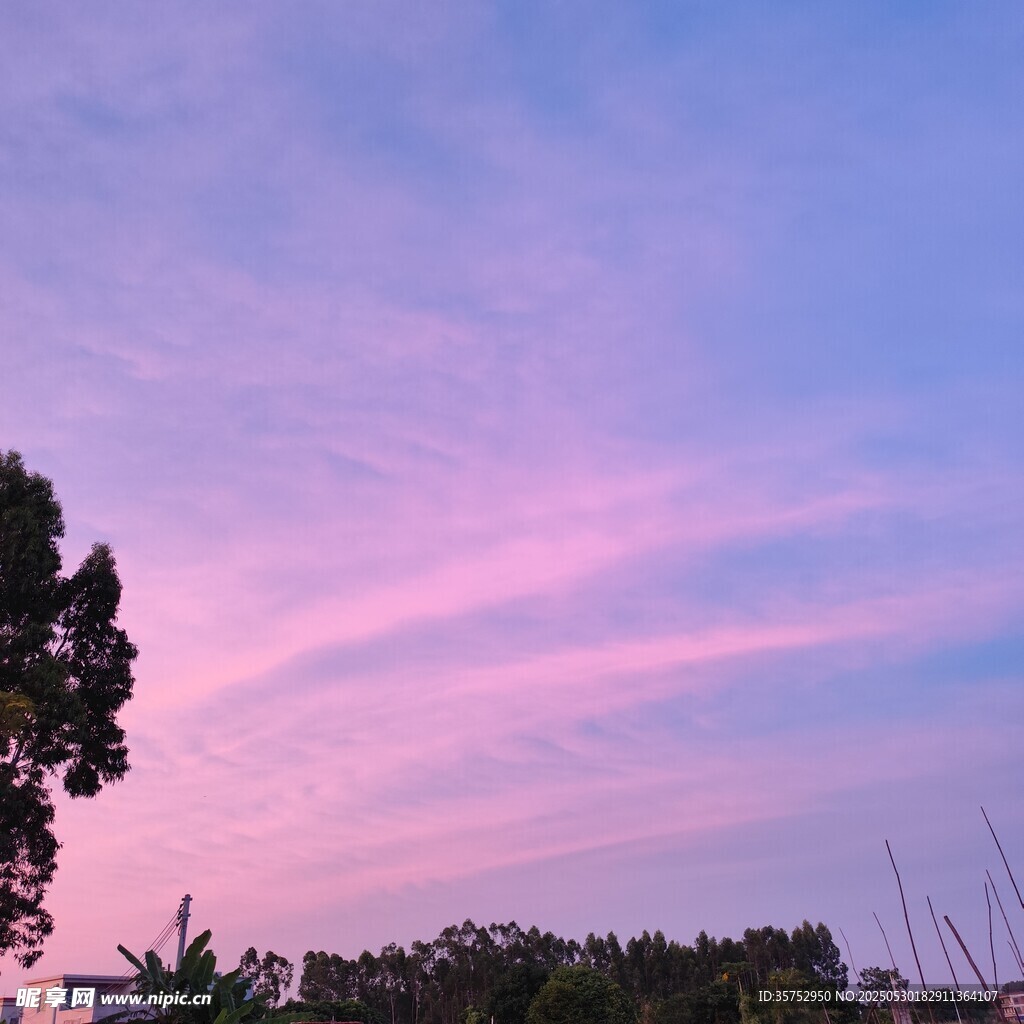 夢幻粉紫天空