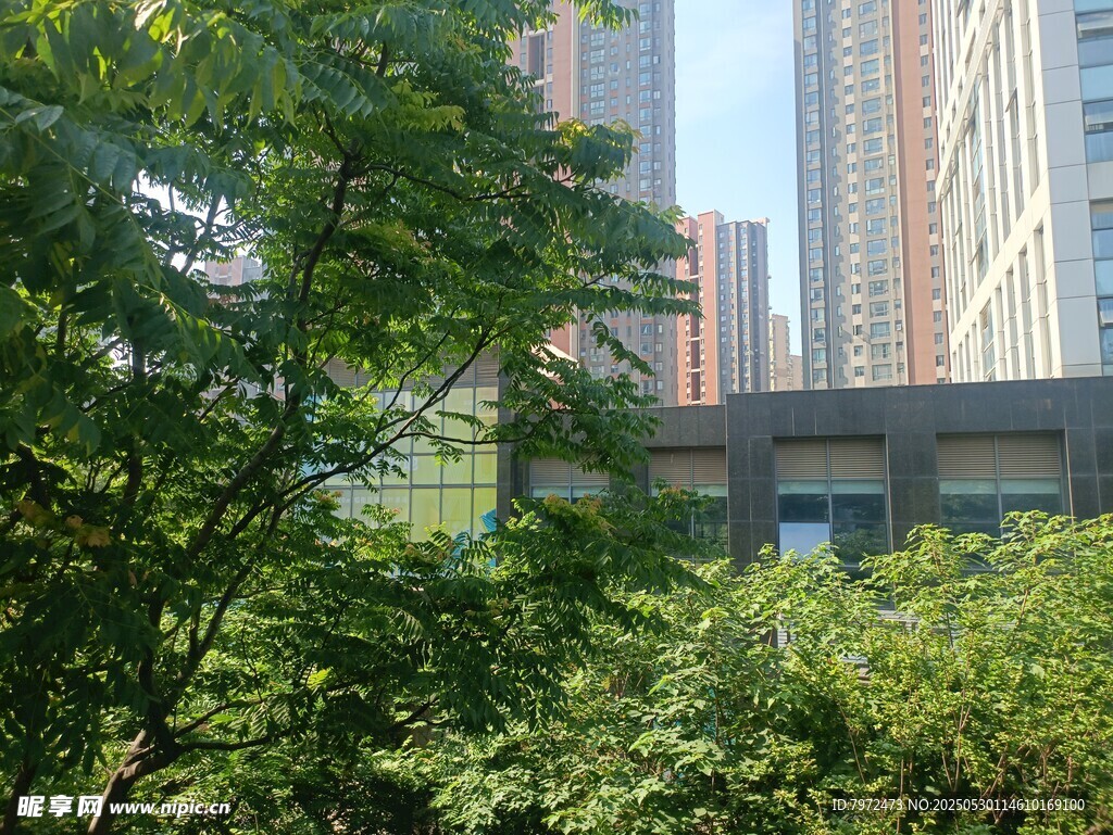 綠樹(shù)掩映下的城市建筑