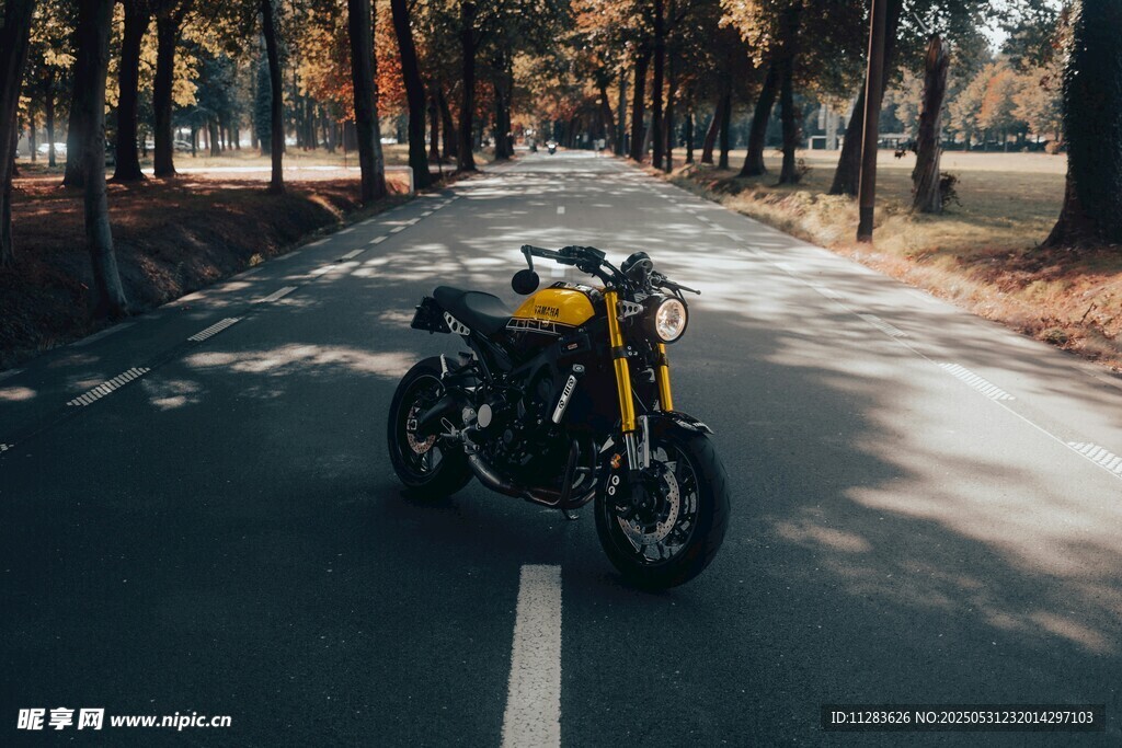 公路上的酷炫復古摩托車