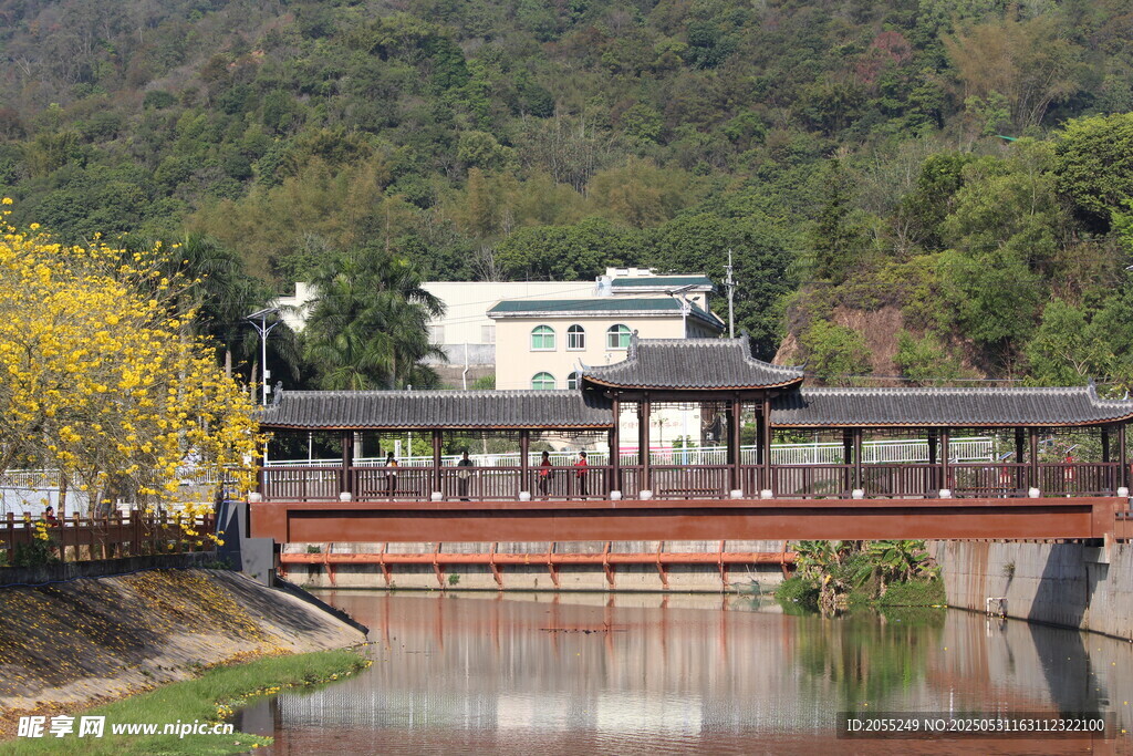 潮州市潮安區(qū)文詞鎮(zhèn)河塘村風(fēng)鈴木