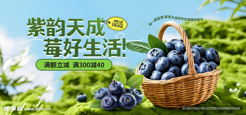 天然藍莓 開啟美好生活