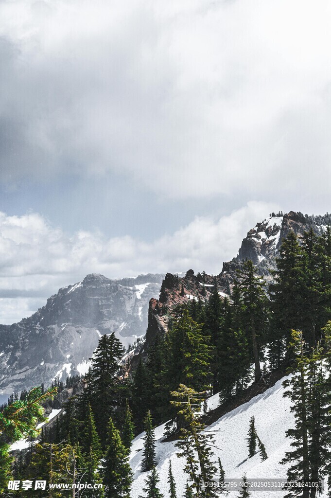 雪山松林間的山間建筑