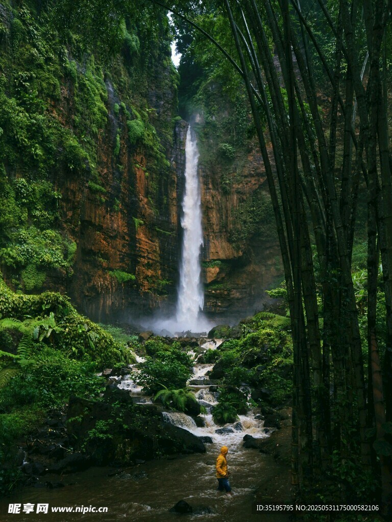 雨林中的壯麗瀑布景觀