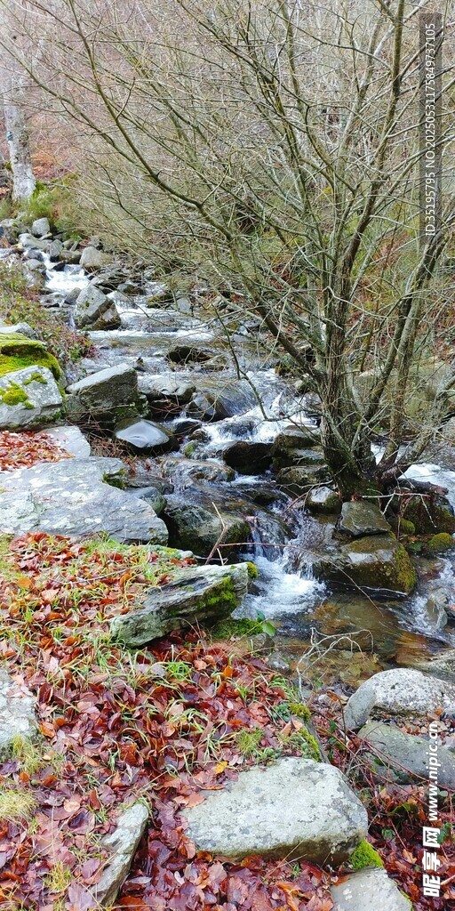 山間溪流旁的多彩秋景