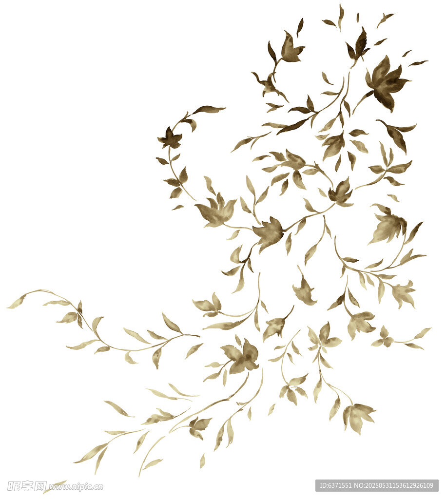 花邊素材