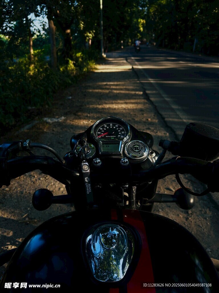 騎行視角下的林間道路