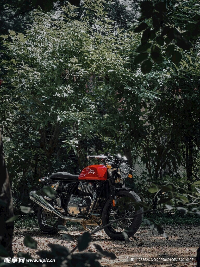 叢林中騎行的摩托車手
