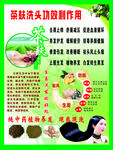 茶麩洗頭功效宣傳海報(bào)