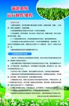 綠色環(huán)保宣傳頁內容展示