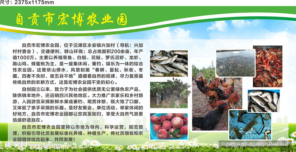 展板水果