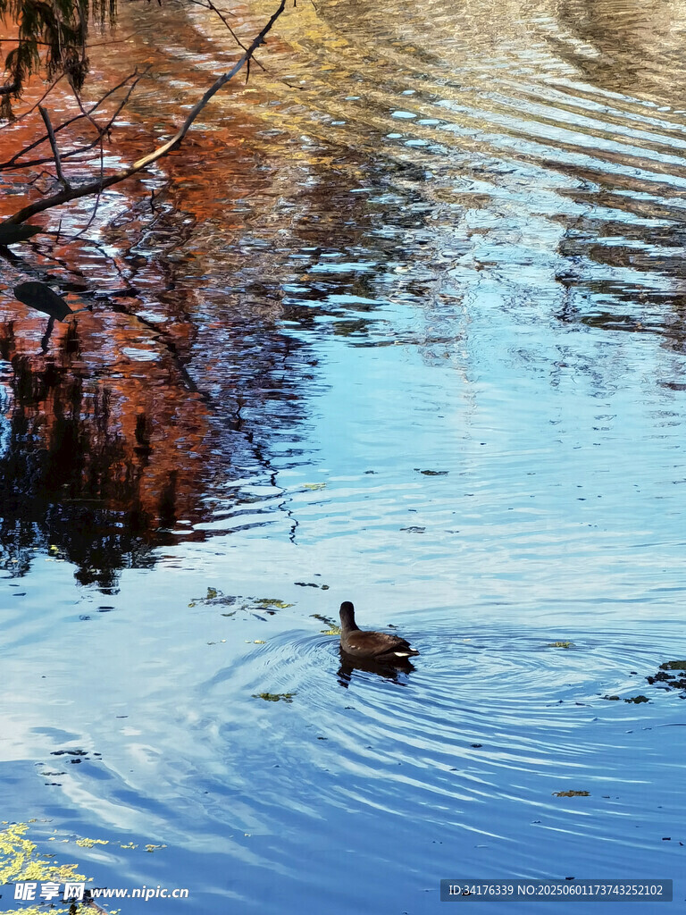 湖
