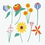 多彩手繪花卉插畫