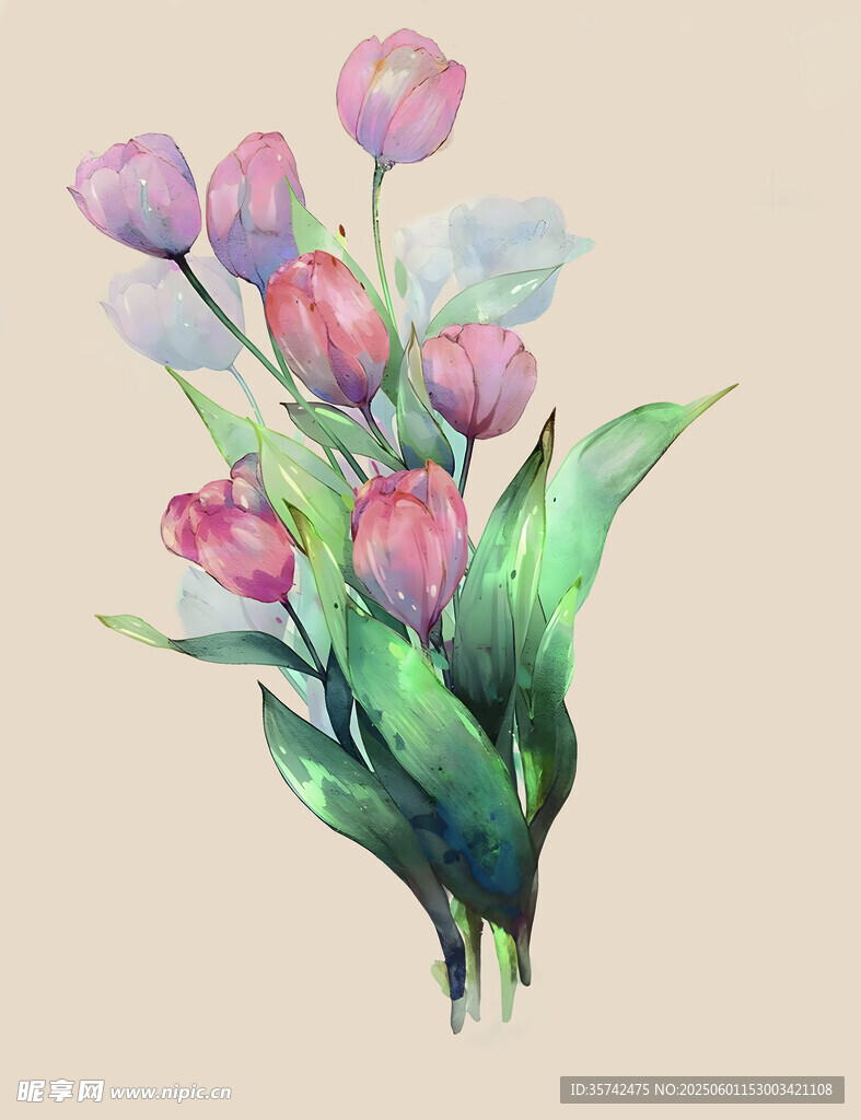 水彩繪粉色郁金香花束
