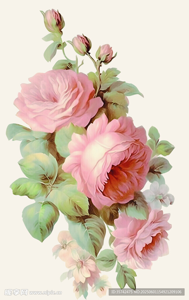 粉色花卉插畫