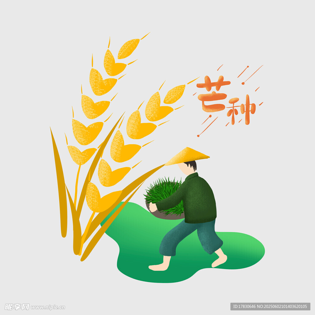 芒種