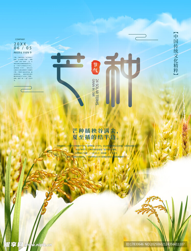 芒種海報