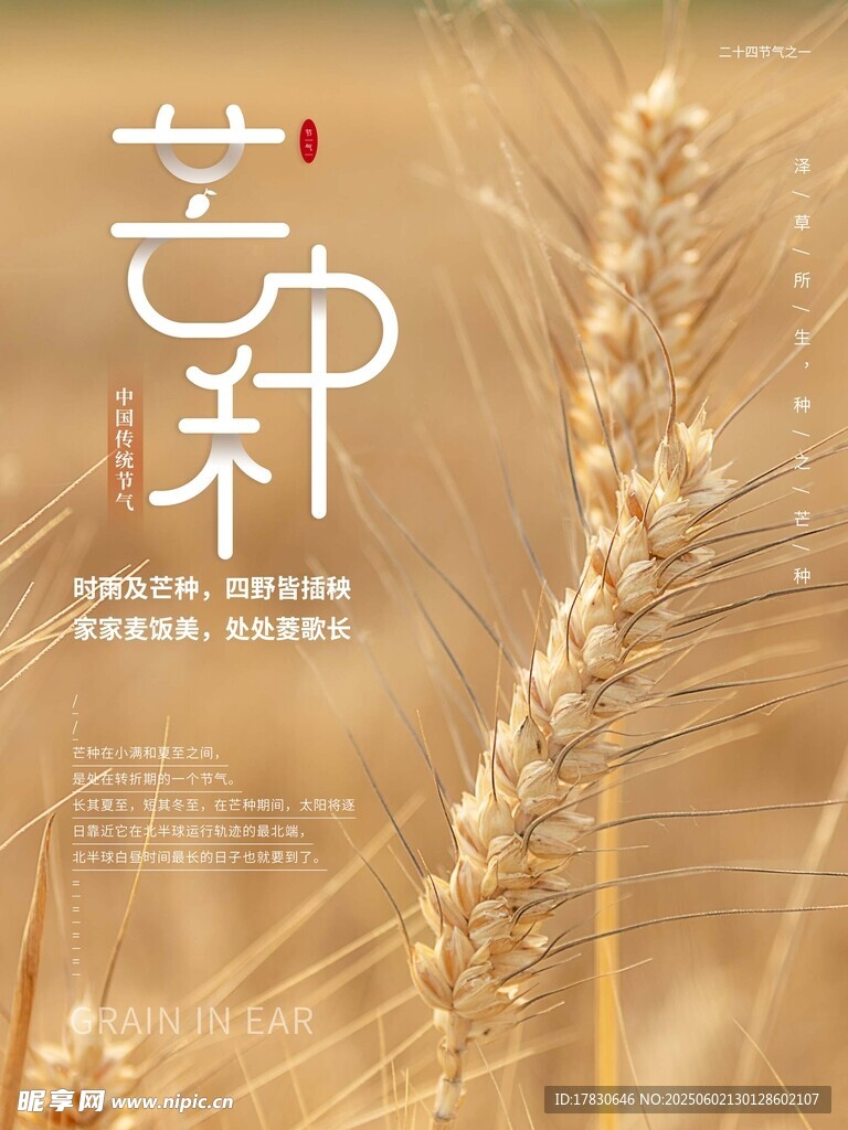 芒種海報