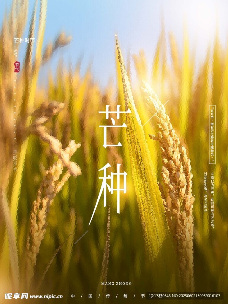 芒種海報