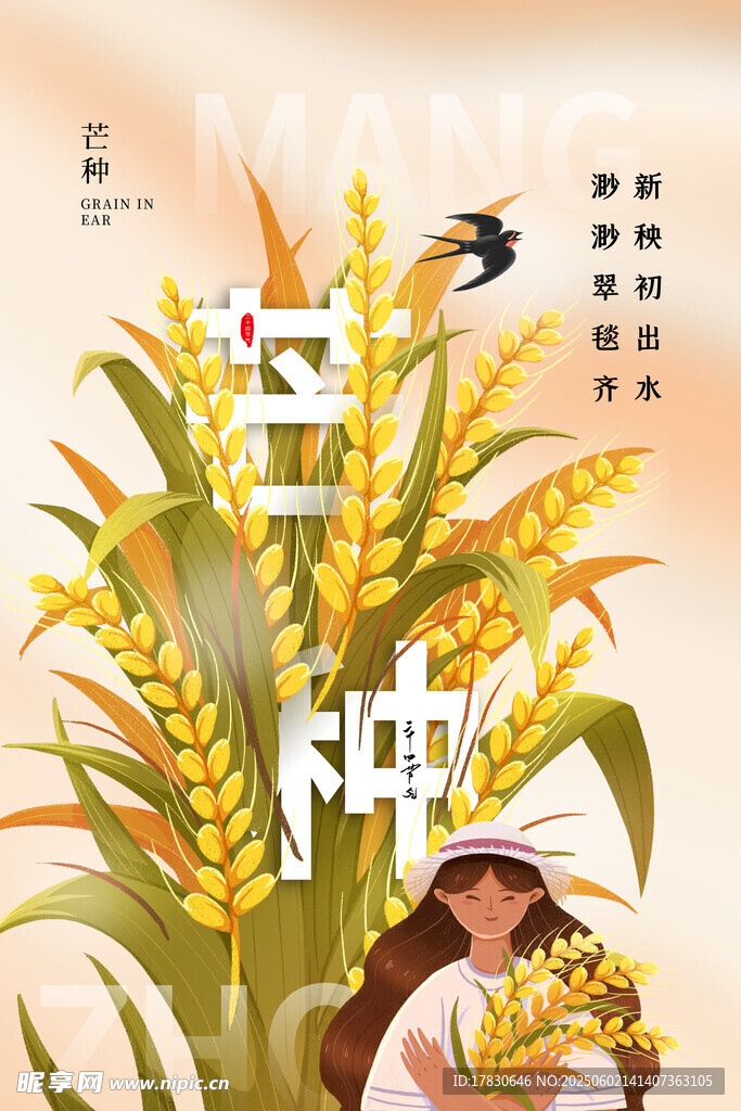 芒種海報