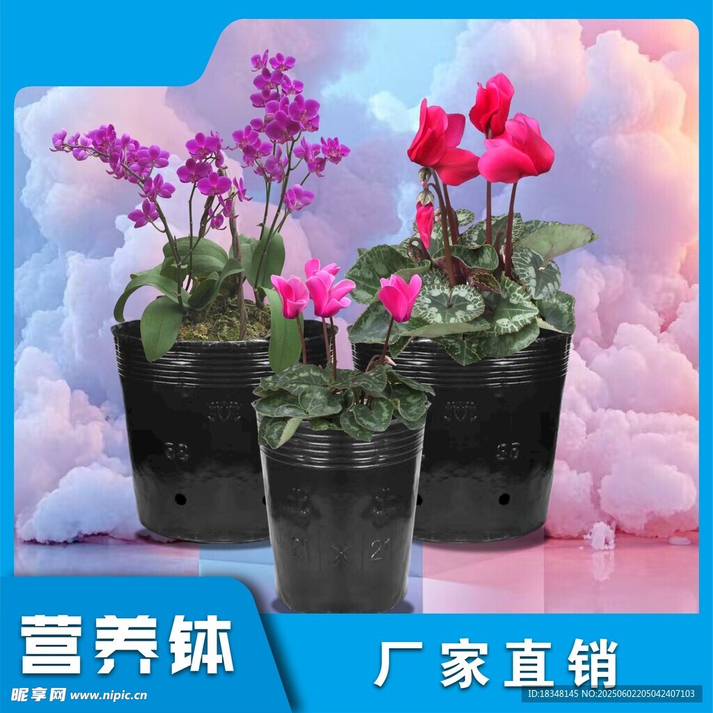 主圖模板