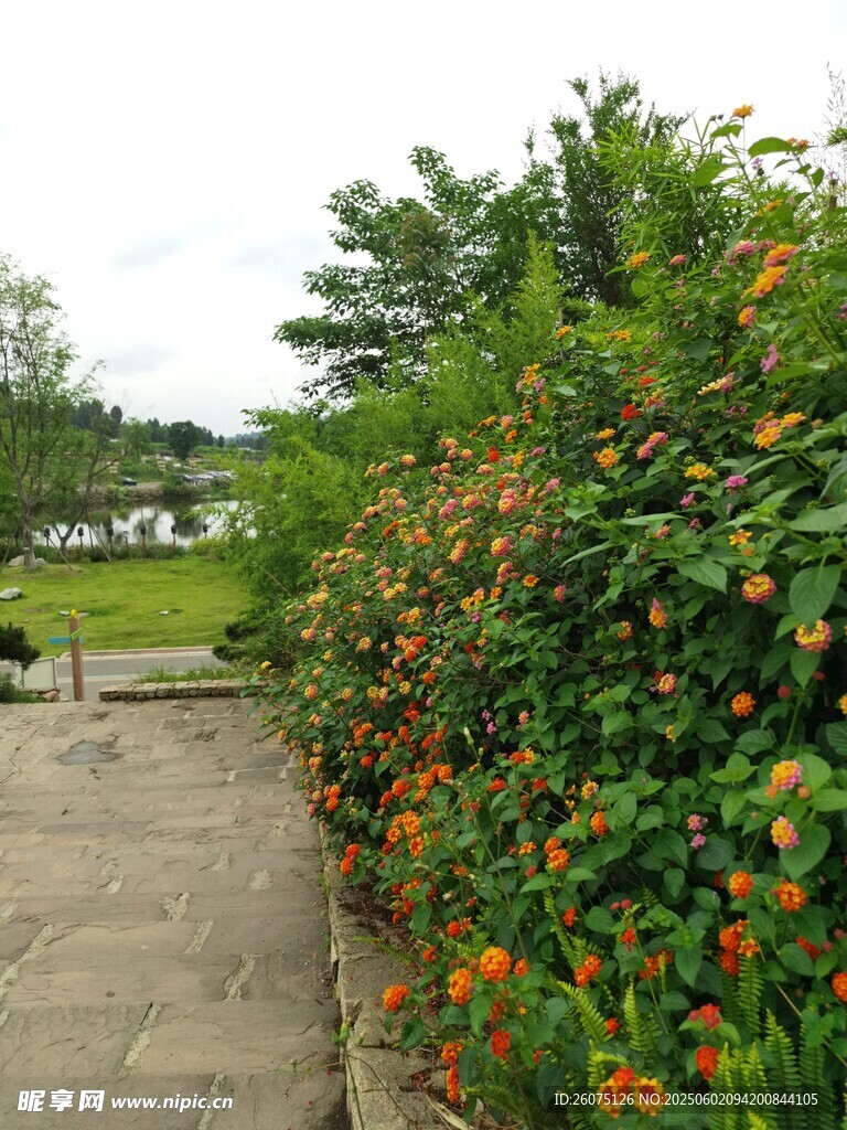 小徑繁花