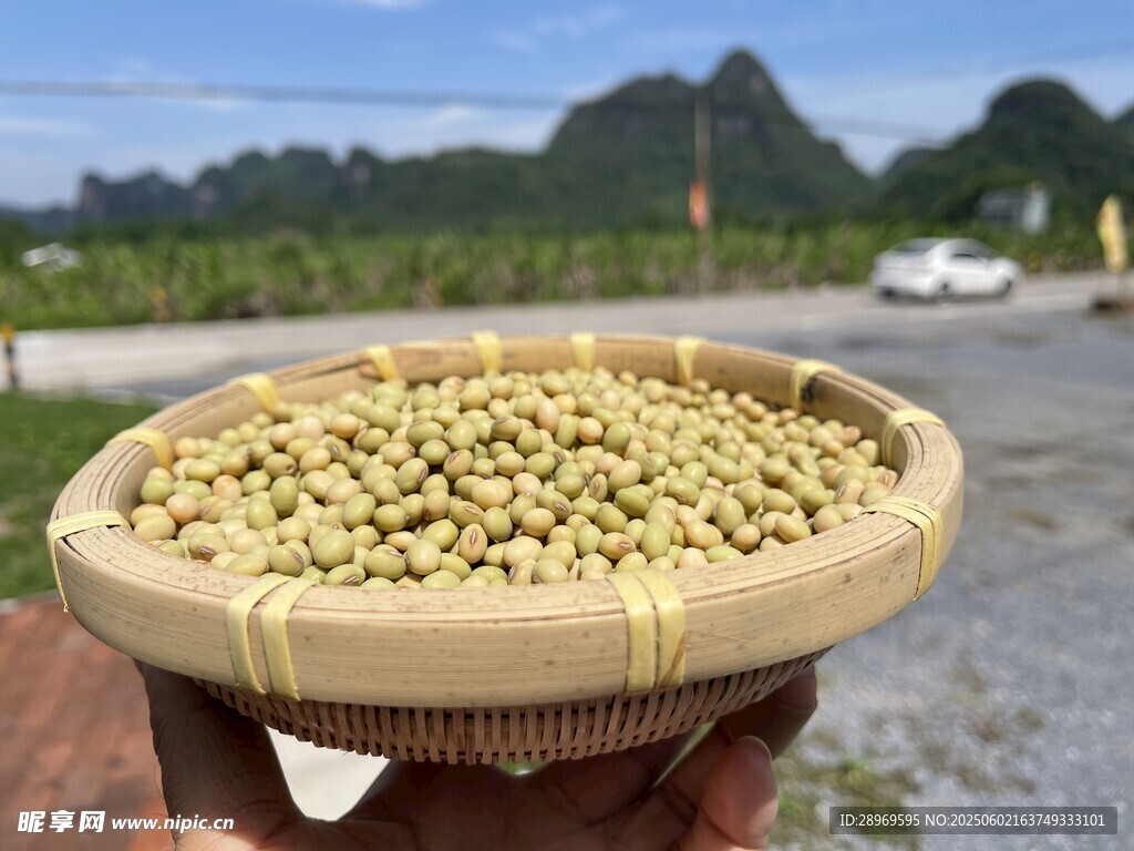 英德農家小青豆