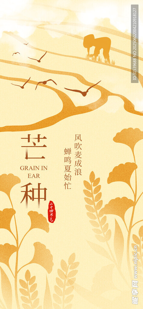 芒種麥穗耕種收割收成二十四節(jié)氣