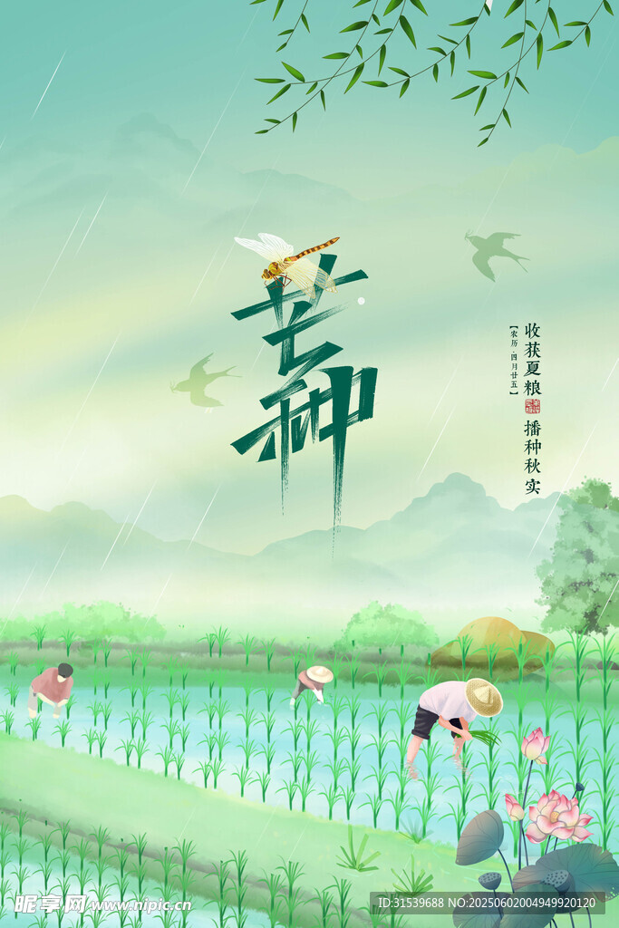 中式山水種植二十四節(jié)氣芒種節(jié)氣
