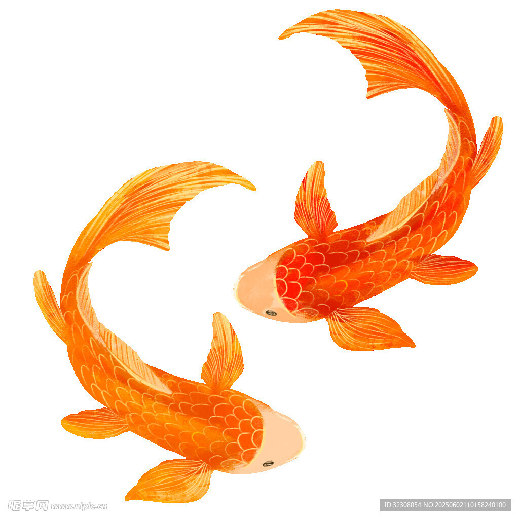 雙尾橙金魚靈動畫面
