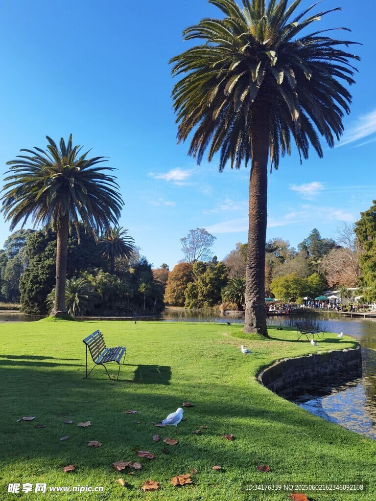 公園