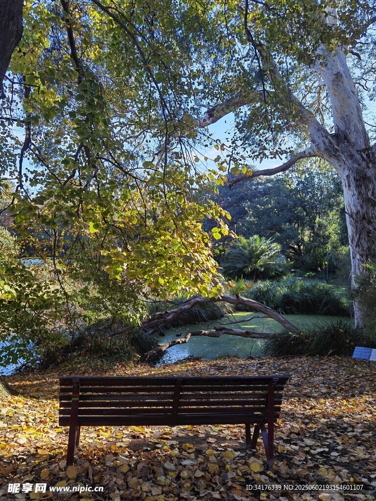 秋日公園