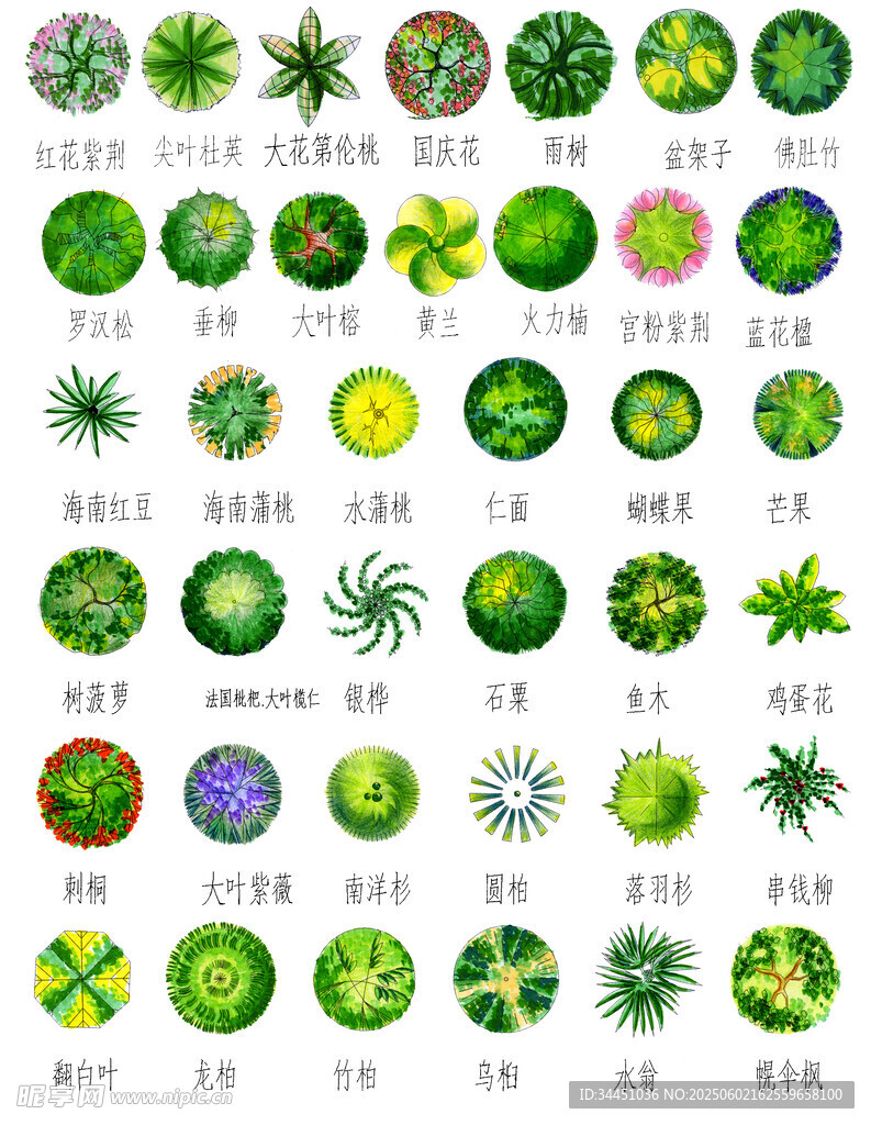 多樣植物圖案集合展示